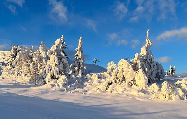 Casa vacanze - Golsfjellet , Norvegia - N33469 905
