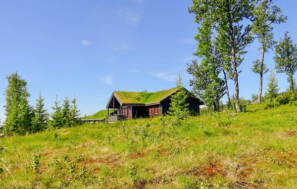 Feriehus - Golsfjellet , Norge - N33469 1