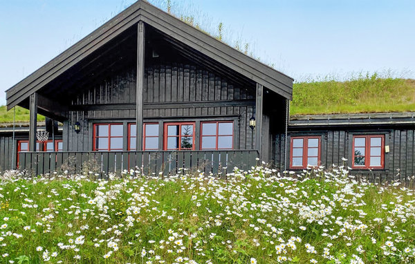 Feriehus - Golsfjellet , Norge - N33469 82