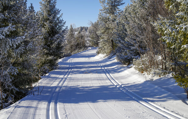 Ferieleilighet - Golsfjellet , Norge - N33478 901
