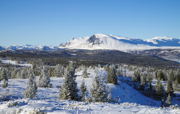 Ferieleilighet - Golsfjellet , Norge - N33478 903
