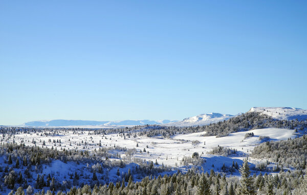 Ferieleilighet - Golsfjellet , Norge - N33478 904