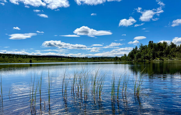Ferieleilighet - Golsfjellet , Norge - N33478 906