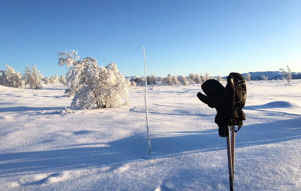 Holiday Home - Nesfjellet , Norway - N33482 7