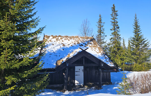 Holiday Home - Nesfjellet , Norway - N33482 1