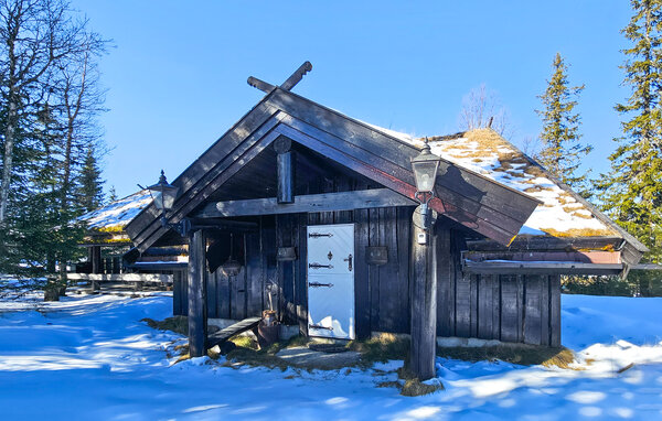 Holiday Home - Nesfjellet , Norway - N33482 81