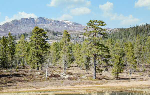 Feriehus - Eggedal , Norge - N33493 204