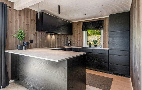 Holiday Home - Ål i Hallingdal , Norway - N33495 7