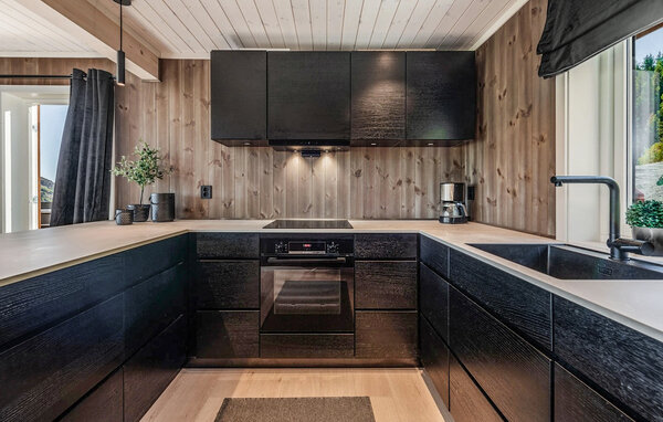 Holiday Home - Ål i Hallingdal , Norway - N33495 401