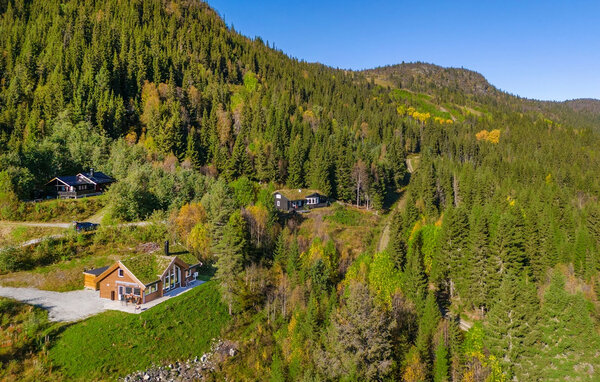 Holiday Home - Ål i Hallingdal , Norway - N33495 1