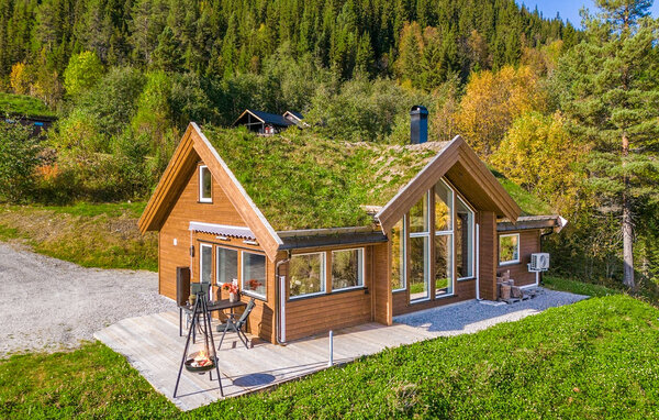 Holiday Home - Ål i Hallingdal , Norway - N33495 81