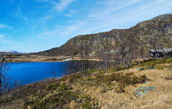 Semesterhus - Hemsedal/Holdeskaret , Norge - N33497 9