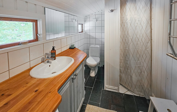 Semesterhus - Hemsedal/Holdeskaret , Norge - N33497 701