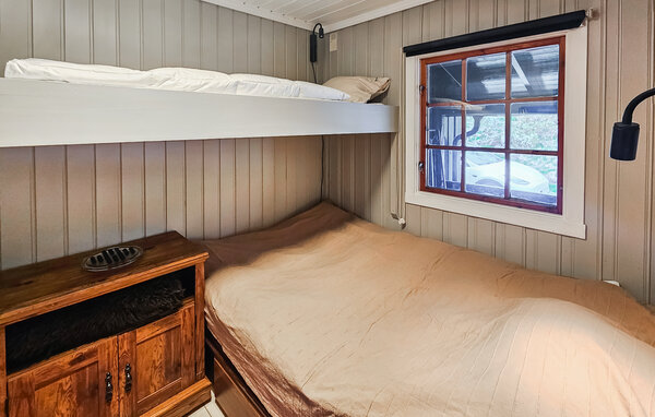 Semesterhus - Hemsedal/Holdeskaret , Norge - N33497 601