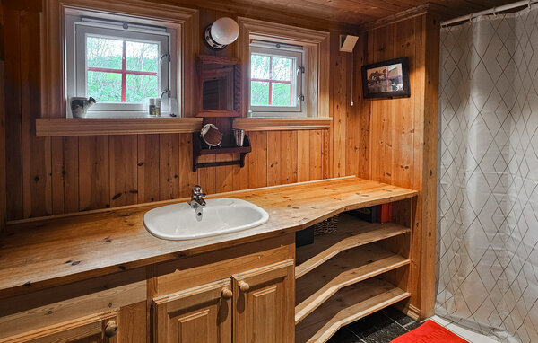 Feriehus - Hemsedal/Holdeskaret , Norge - N33498 701