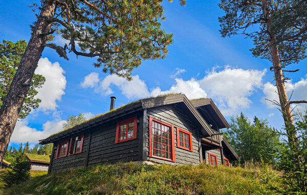 Feriehus - Norefjell , Norge - N33509 8