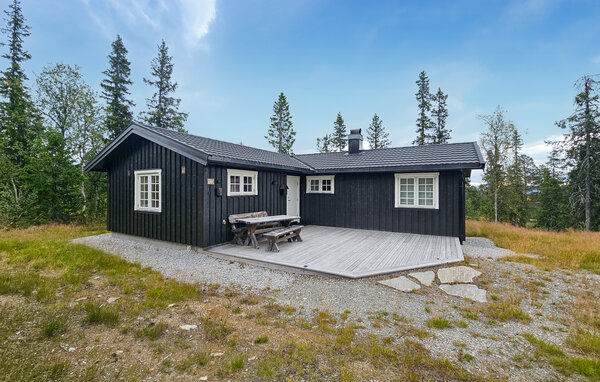 Domy wakacyjne - Veggli fjell , Norwegia - N33510 81