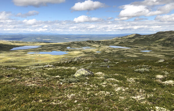 Feriehus - Dagali , Norge - N33513 902