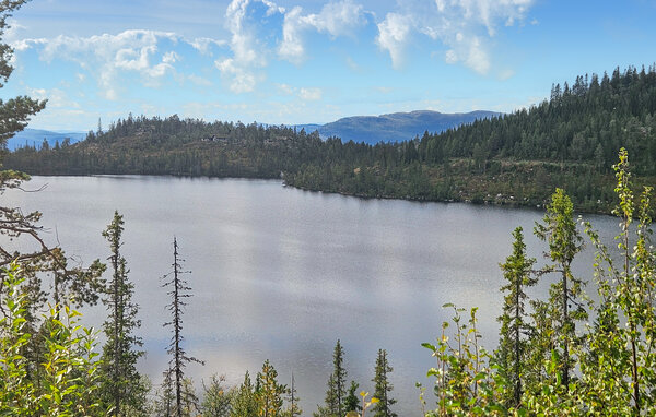 Feriehus - Eggedal , Norge - N33516 901