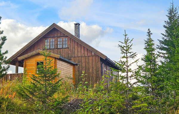Feriehus - Eggedal , Norge - N33516 9