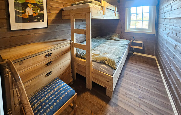 Holiday Home - Ål i Hallingdal , Norway - N33518 602