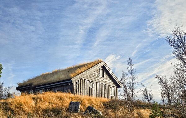 Holiday Home - Ål i Hallingdal , Norway - N33518 81