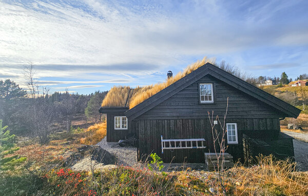 Holiday Home - Ål i Hallingdal , Norway - N33518 82