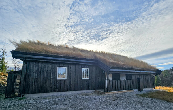 Holiday Home - Ål i Hallingdal , Norway - N33518 83
