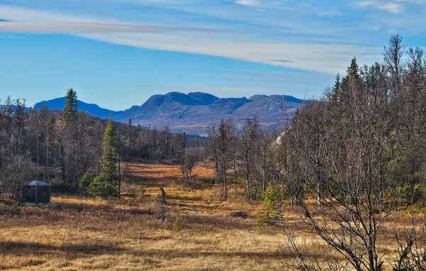 Holiday Home - Ål i Hallingdal , Norway - N33518 7