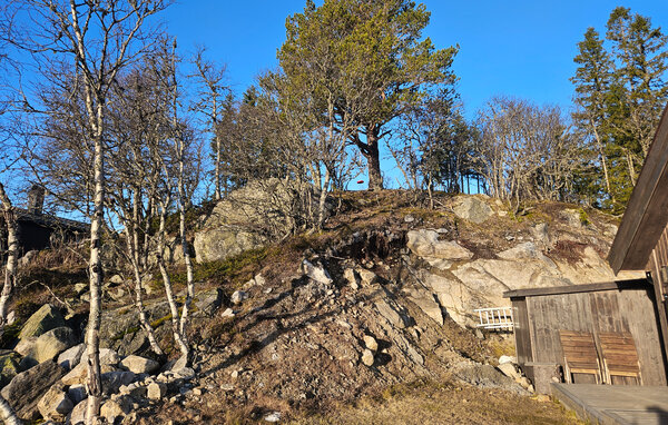 Feriehus - Eggedal , Norge - N33524 102