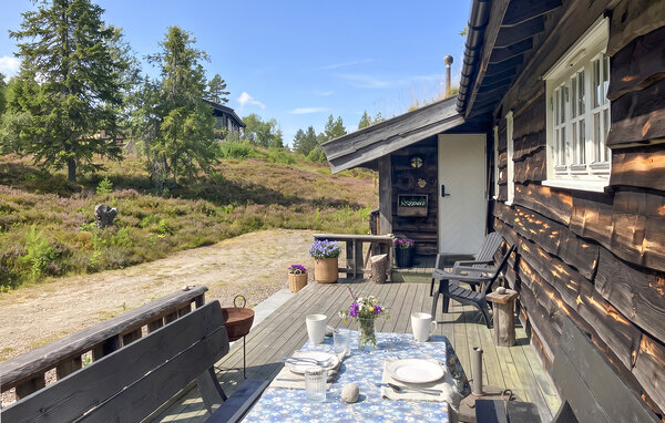 Domy wakacyjne - Skrim, Omholtfjell , Norwegia - N33526 8