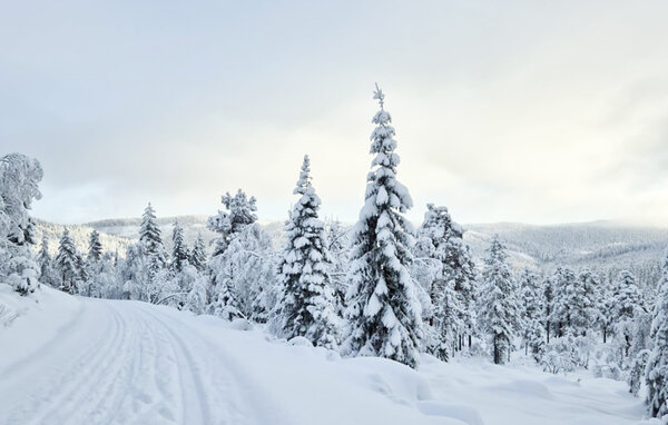 Ferienhaus - Kongsberg , Norwegen - N33529 901