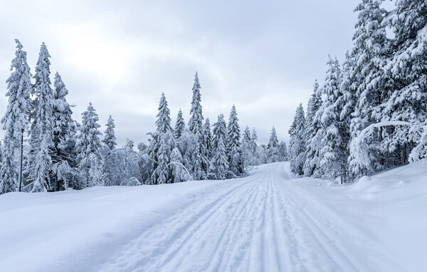 Ferienhaus - Kongsberg , Norwegen - N33529 902