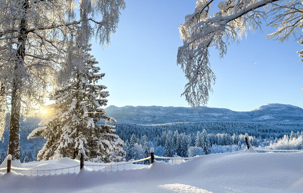 Ferienhaus - Kongsberg , Norwegen - N33529 903