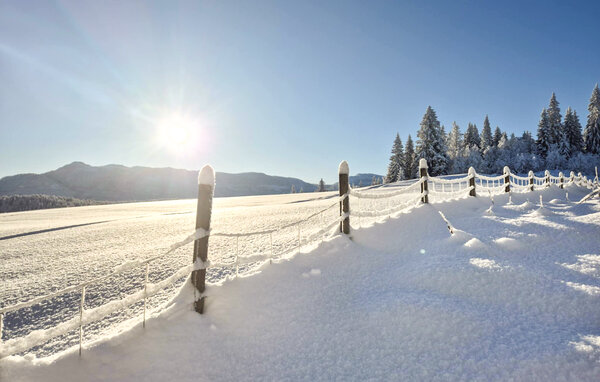 Ferienhaus - Kongsberg , Norwegen - N33529 905