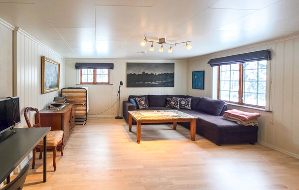 Ferienhaus - Kongsberg , Norwegen - N33529 3