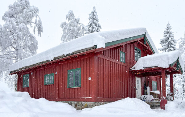 Ferienhaus - Kongsberg , Norwegen - N33529 1