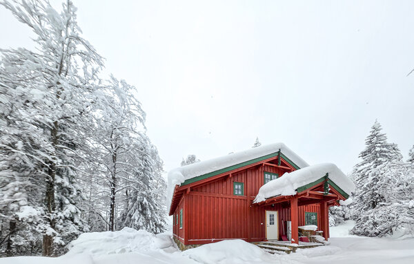 Ferienhaus - Kongsberg , Norwegen - N33529 81