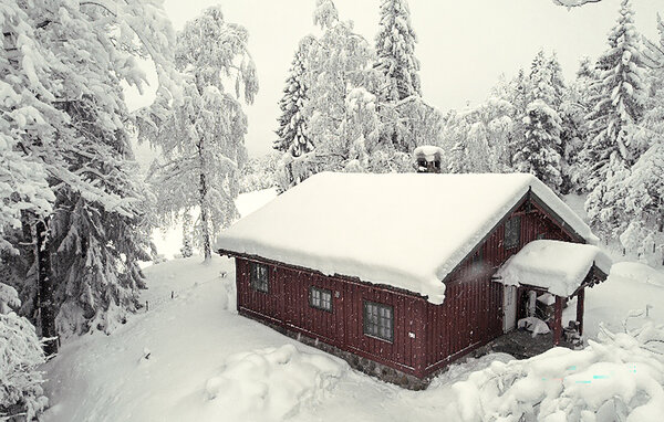 Ferienhaus - Kongsberg , Norwegen - N33529 82