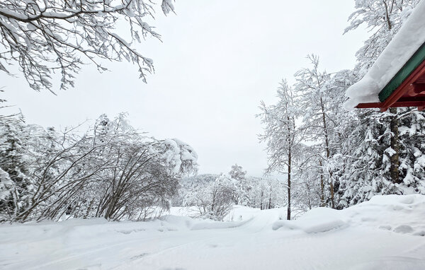 Ferienhaus - Kongsberg , Norwegen - N33529 101