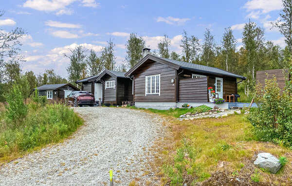 Feriehus - Dagali Fjellpark , Norge - N33530 1