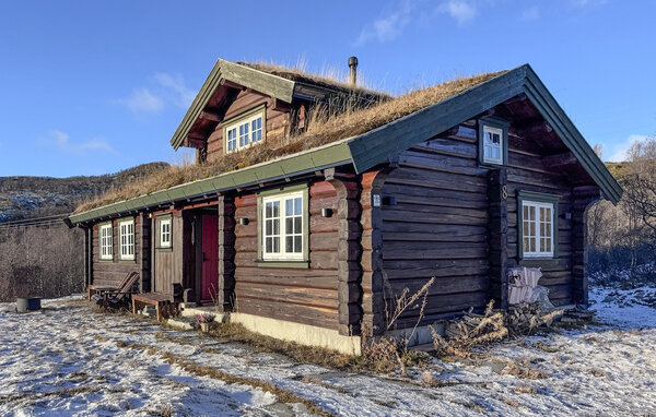 Domy wakacyjne - Ustaoset , Norwegia - N33533 1