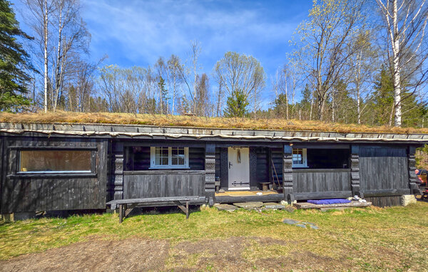 Casa de vacaciones - Krøderen , Noruega - N33542 81