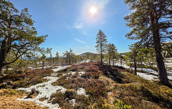 Casa de vacaciones - Tjøme , Noruega - N33545 6