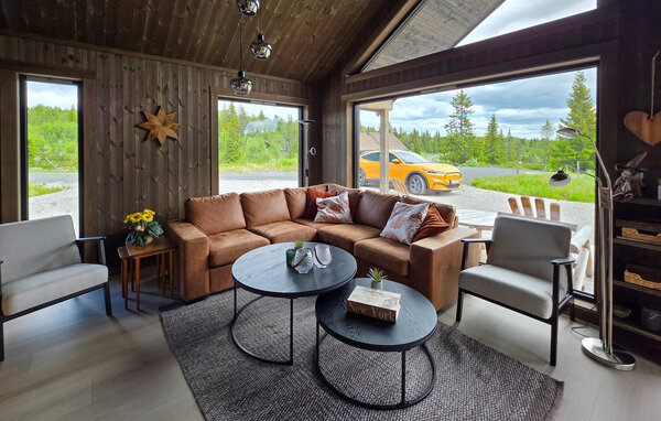 Holiday Home - Ål i Hallingdal , Norway - N33549 4