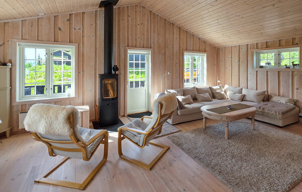Feriehus - Eggedal / Norefjell , Norge - N33553 3