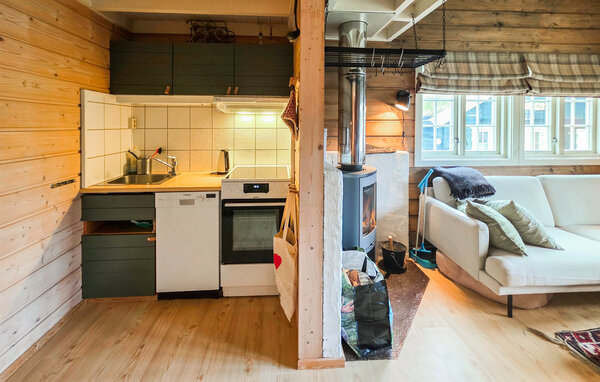 Ferienwohnung - Geilo, Ustaoset , Norwegen - N33555 401