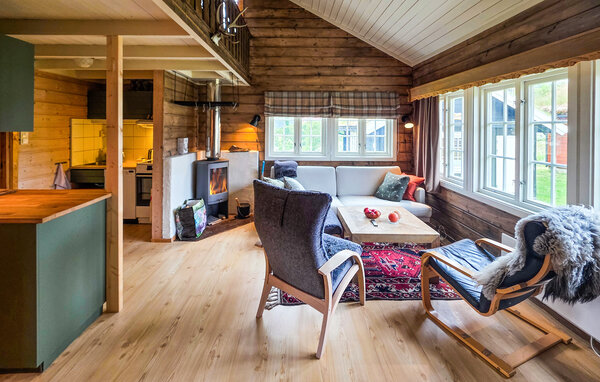 Ferienwohnung - Geilo, Ustaoset , Norwegen - N33555 302
