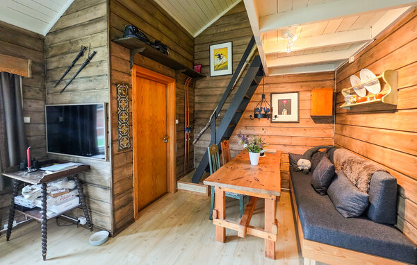 Ferienwohnung - Geilo, Ustaoset , Norwegen - N33555 305
