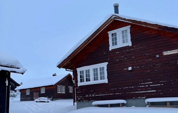 Ferienwohnung - Geilo, Ustaoset , Norwegen - N33555 83